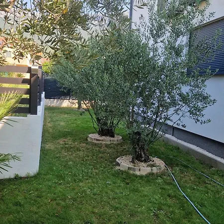 Bella Dona Villa *